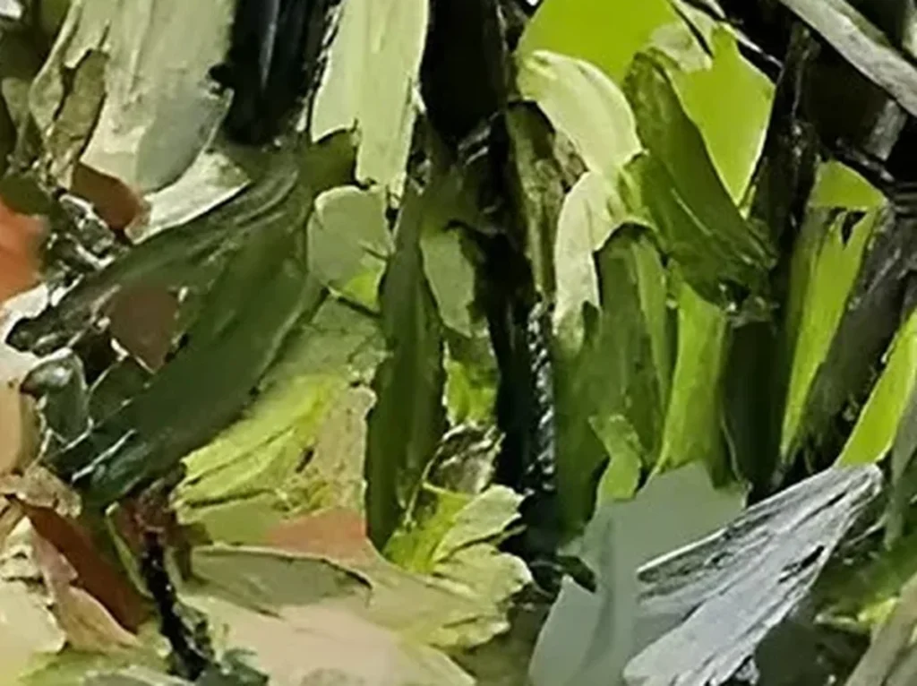 Detail crop of layered sage and chartreuse palette knife strokes on the green pool bathers canvas IA30