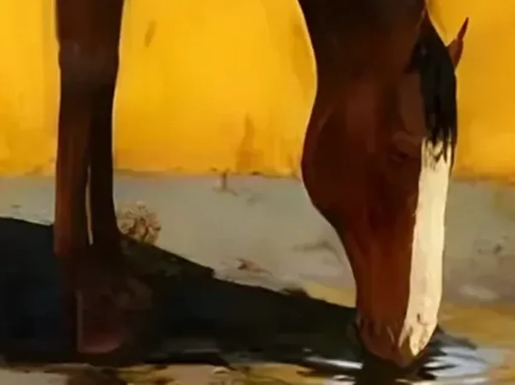 Close-up detail crop of minimalist horse canvas MA03 showing layered saffron and amber brushwork beside the brown horse's white blaze