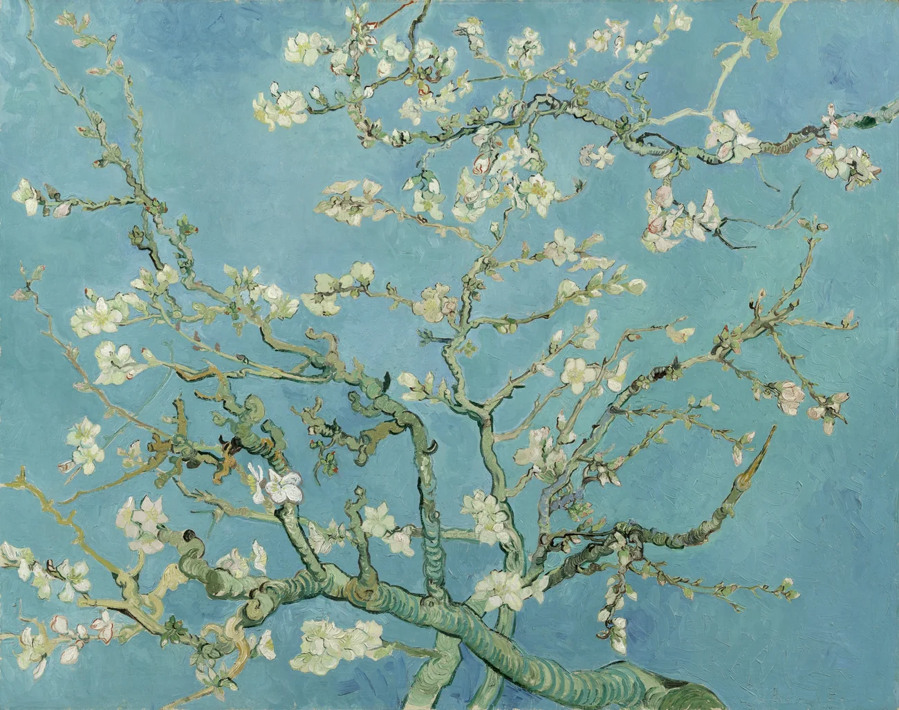 Vincent van Gogh's Almond Blossom, showing pale flowering branches against a clear blue sky in a horizontal composition.