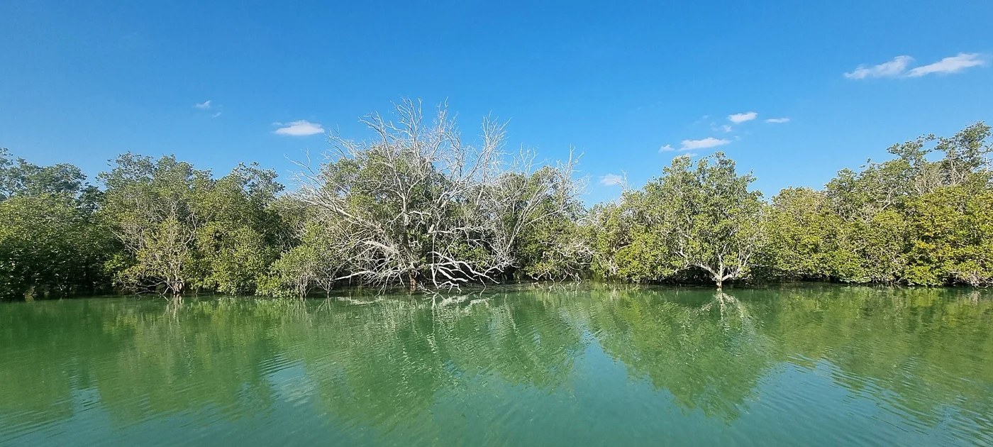 Eastern Mangroves in Abu Dhabi