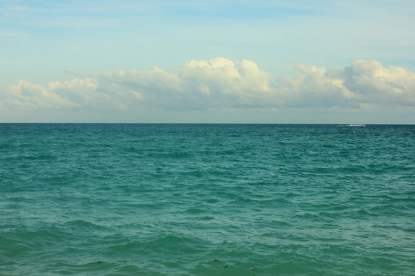 Atlantic Ocean and horizon at Miami Beach